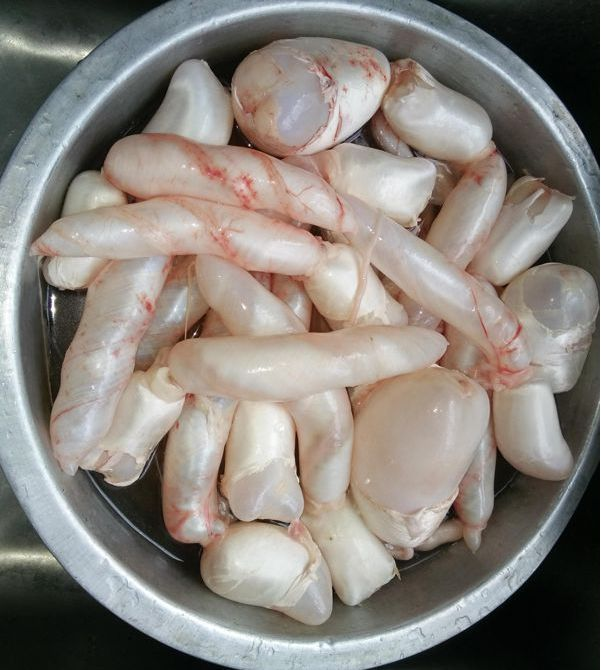 鱼肚|部位|腥味_新浪新闻