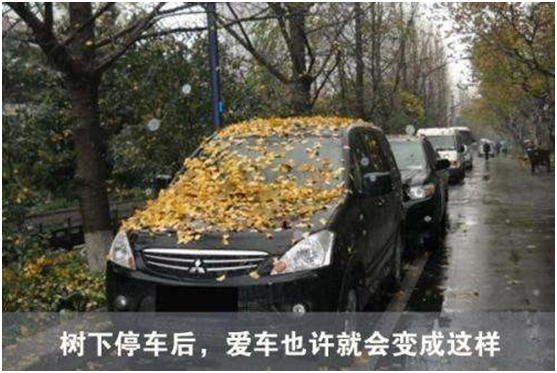 你不知道的停车知识？加油站违章停车最高罚2000元！