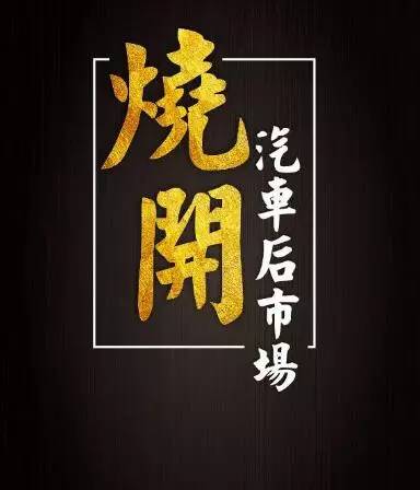 国产“特斯拉”比路虎还霸气；；来这保养机油免费”