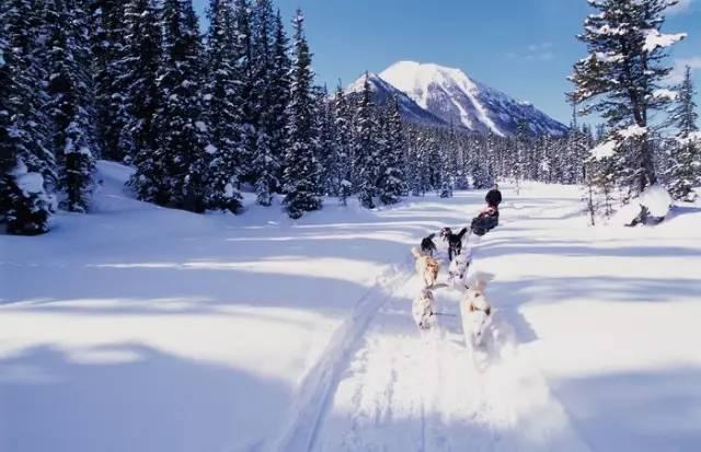 大众搞了6年，这种车型终于要翻身了？