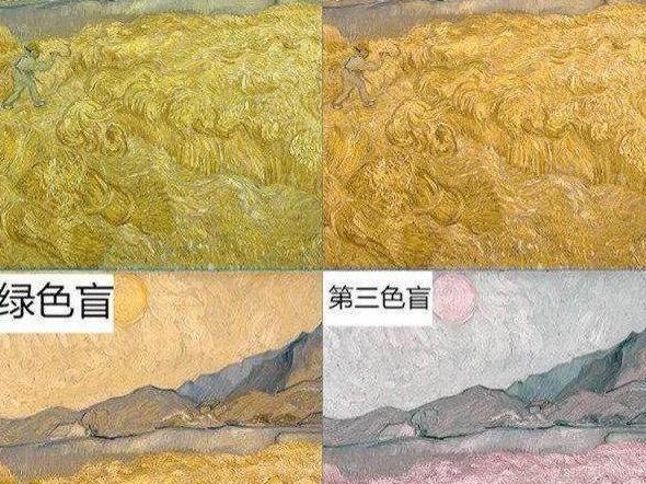 色盲眼中的世界到底是什麽样的?|色盲|国贸|黄色_新浪新闻