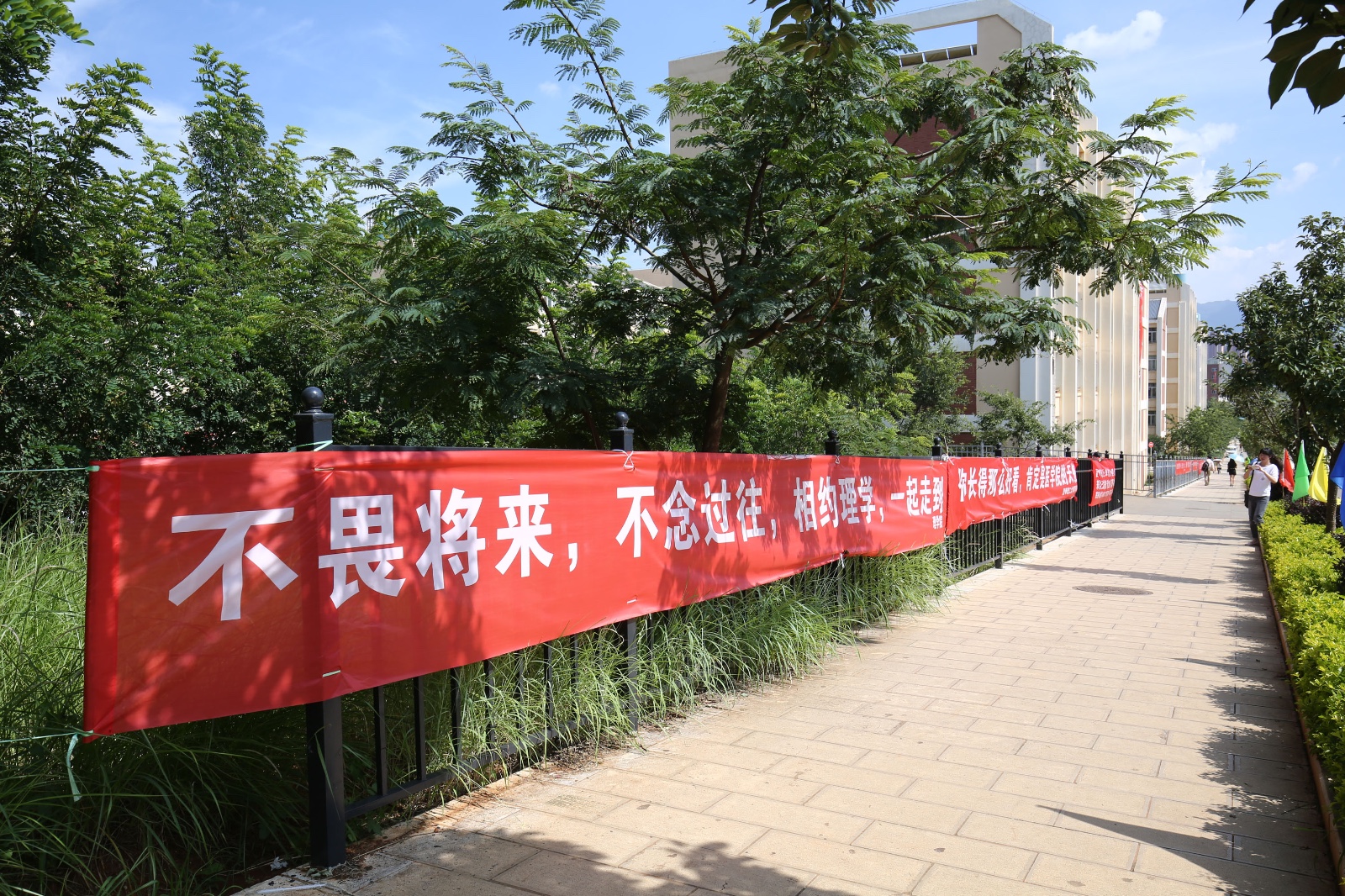 校园内多条创意标语走红网络.原来,为了鼓励进校新生,学长,学姐