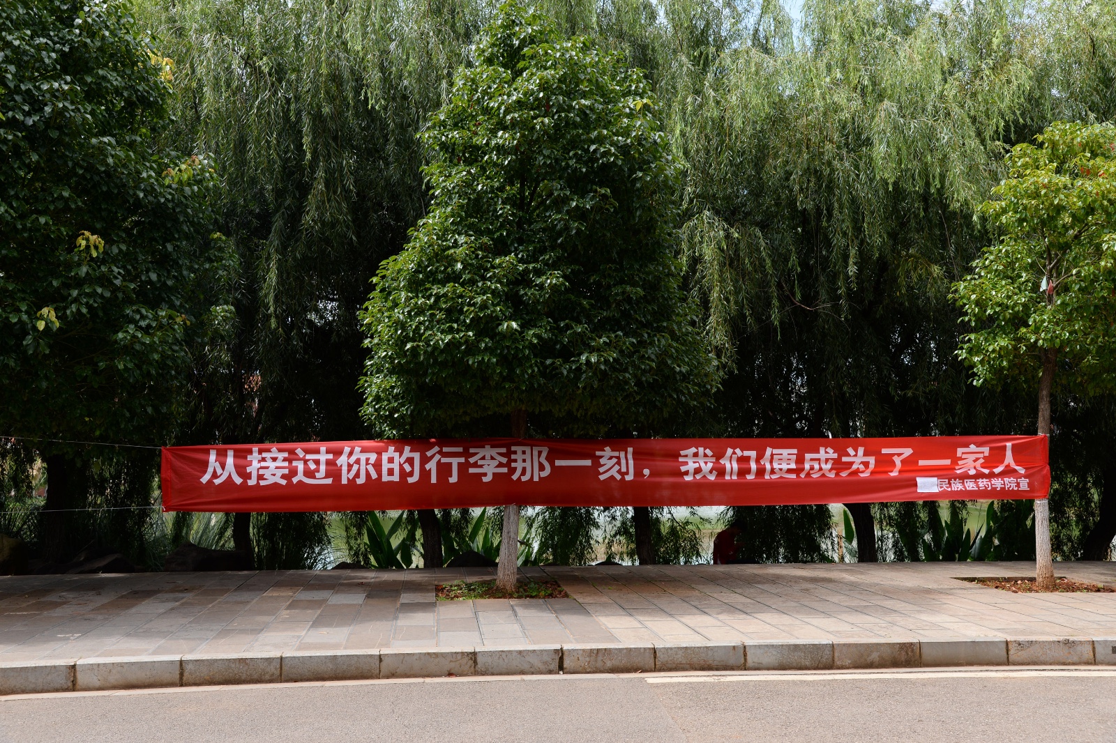 老套的迎接标语已不再占据高地,个性的雷人标语才是王道