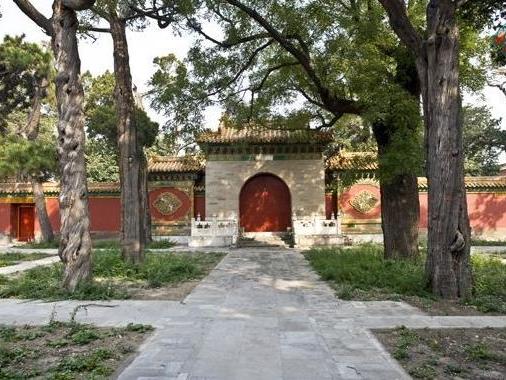 万历皇帝之母在故宫种下两棵树,衍生出一个传说骗了世人数百年|菩提树|两棵树|英华|朱翊钧|皇后_新浪新闻