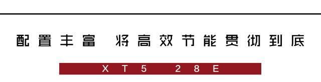 国内首款9AT+轻混动SUV面世，性能、油耗新标杆