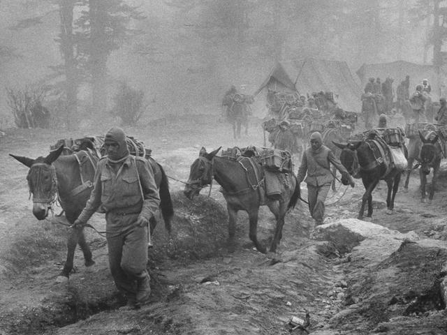 印度视角中的1962年中印战争老照片