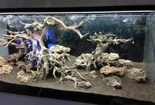 家居水景丨极品沉木打造完美水草造景缸