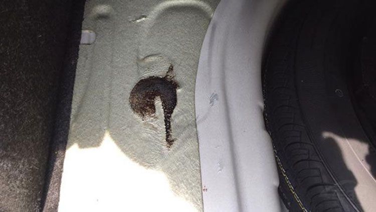 买车太“危险”！明锐秒变厕所，雪佛兰趴窝减速带