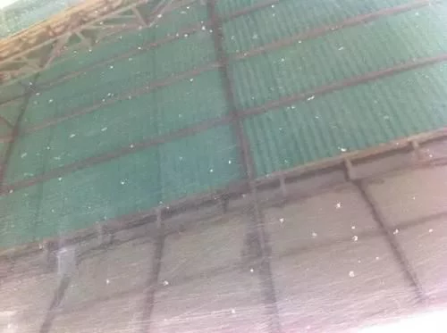 想不通！这么多故障竟然都是洗车引起的！