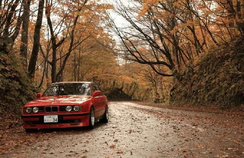 汽车空调这样保养,可以用到车报废也不用修!