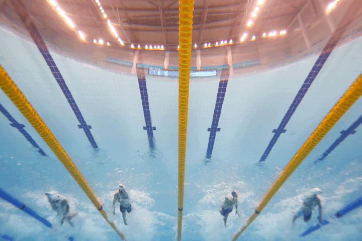 男子50米自由泳:宁泽涛夺冠