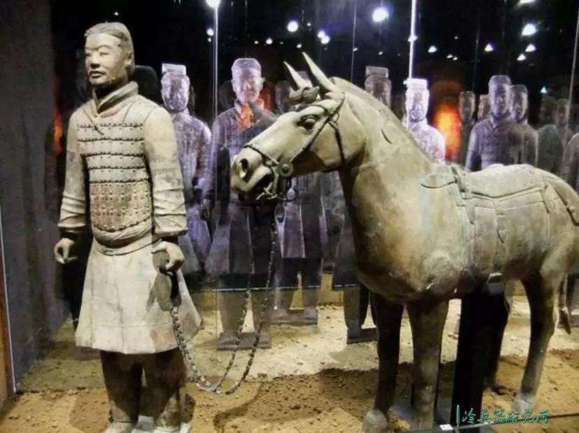 都说中国战马矮如驴,难道古代真的没有高头大马吗?