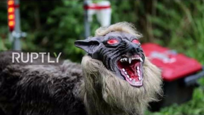 日本机器人公司太田精器与北海道大学近日推出一款超级怪兽狼,用来
