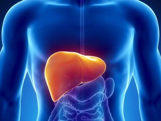 解酒护肝产品排行榜 护肝片哪个牌子效果好