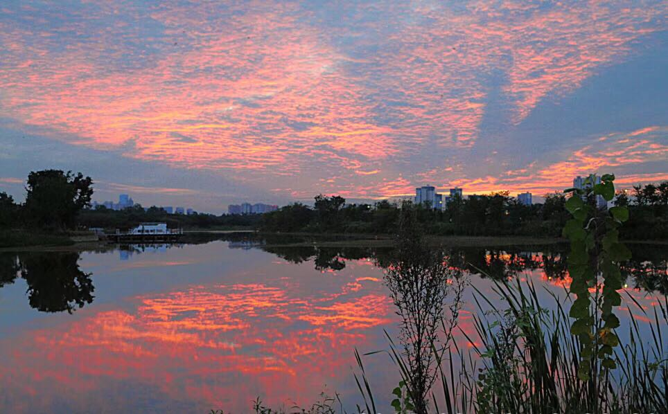 成都美景美的享受