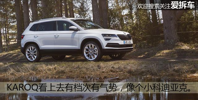 斯柯达野帝青蛙变王子，就是尺寸有点小尴尬