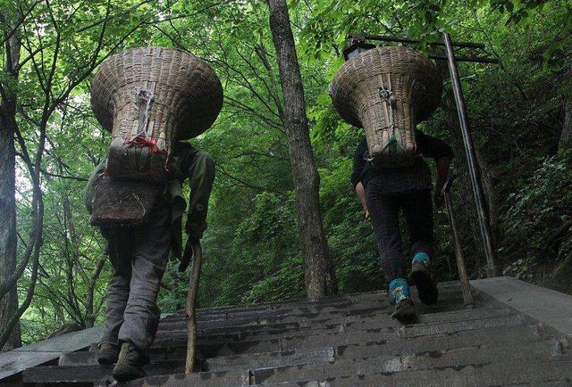 负重200斤,登顶才挣26元,感受峨眉山女背山工背后的艰辛