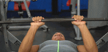 动作2，利用身体自重/负重在双杠做臂屈伸，负重哑铃/杠铃