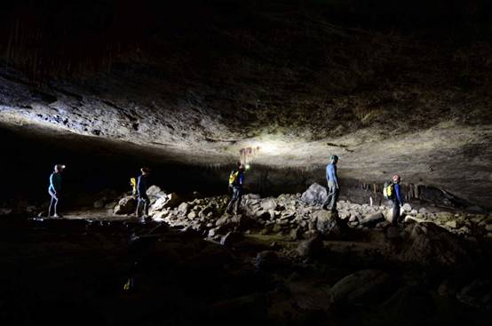 进无止境，长安福特七款车诠释七种人生态度