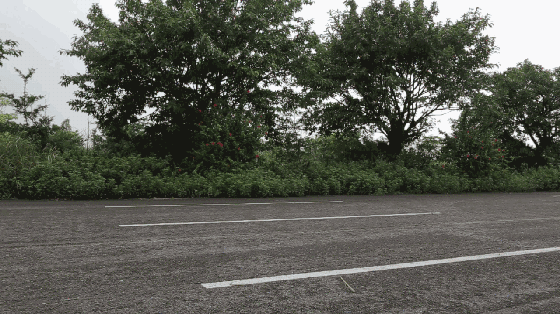 7秒破百、操控犀利，这才是真正的轿跑SUV！