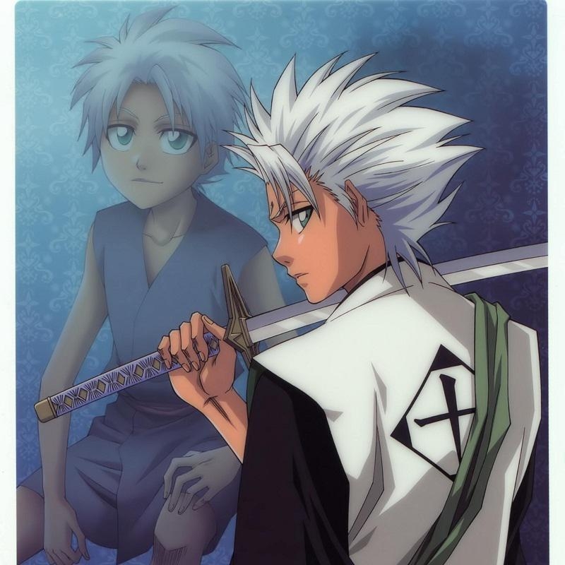 日番谷冬狮郎的斩魄刀是冰轮丸被称为冰雪系的最强,无论是始解还是