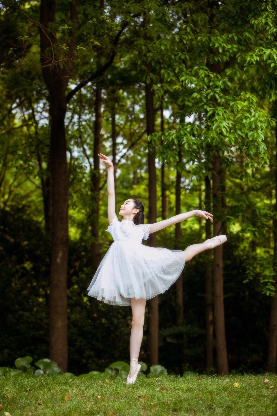 美丽的芭蕾女孩们! 踮起脚尖,就更靠近阳光!|组合|美丽的|阳光_新浪新