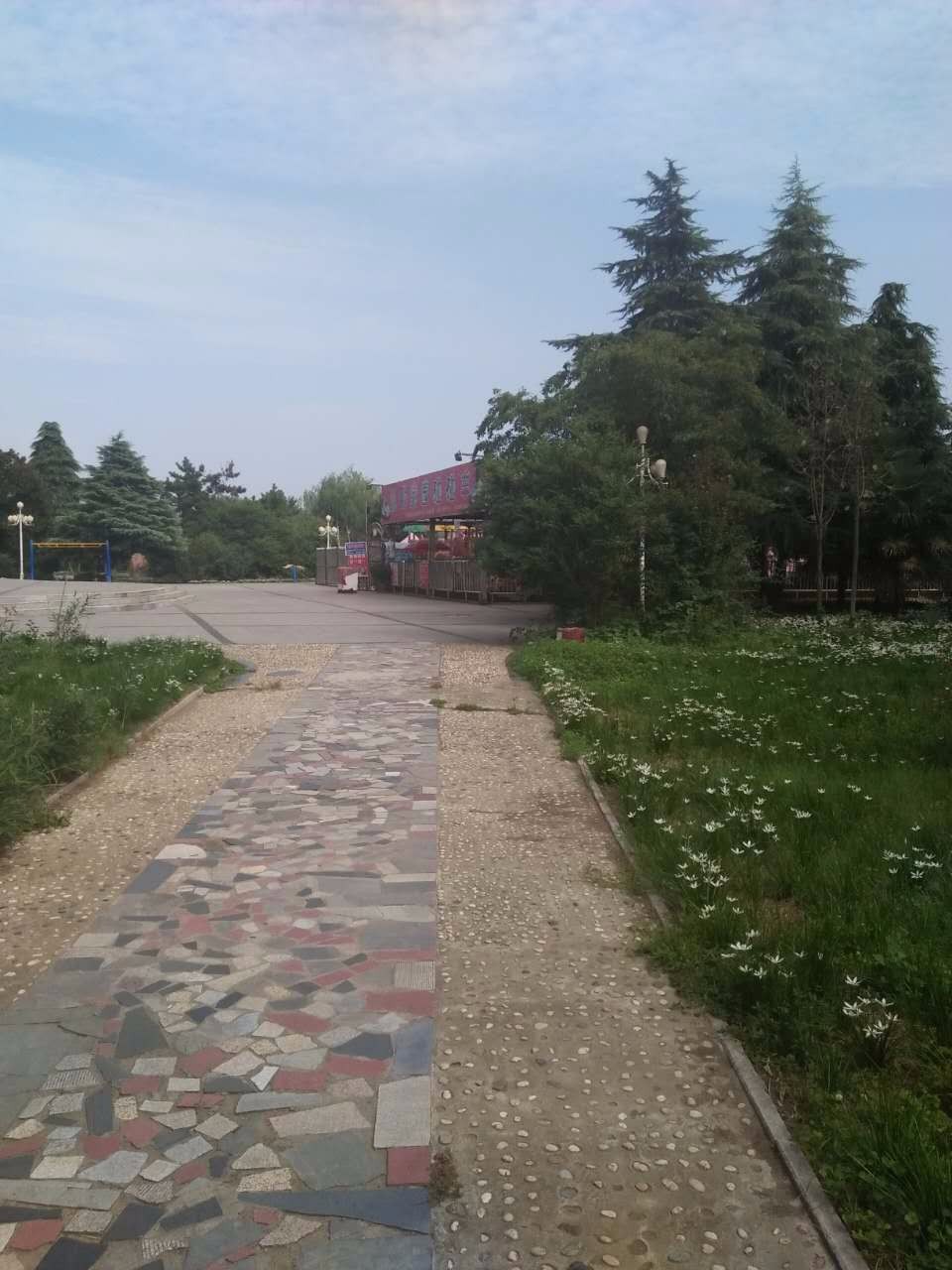 这样的风景也是醉了,辛东方手摄河南泌阳南河风光!