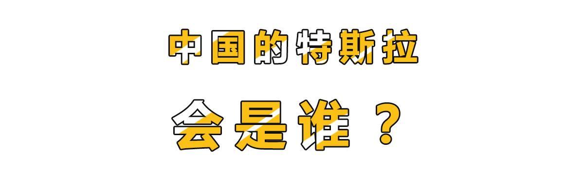新车还没下线就已经有45万人预订,揭秘宇宙神奇车厂