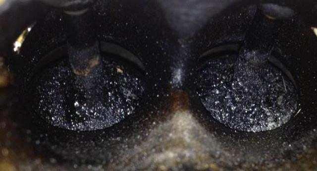 车为什么油耗越来越高?车主的这些坏习惯脱不了关系