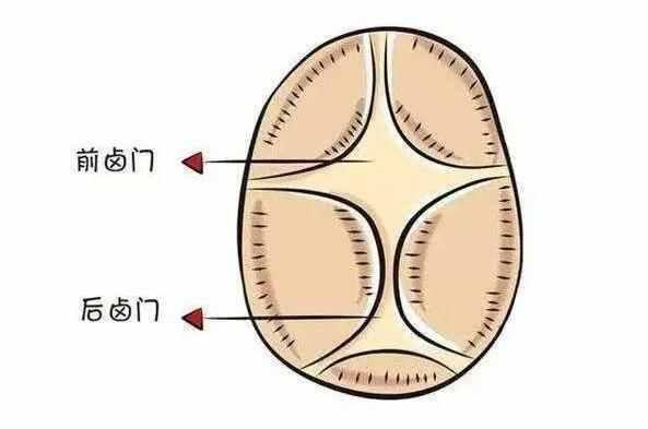 囟门早合原来是妈妈做错这件事