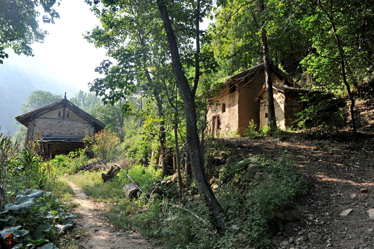 百年山村只有8户人家,蜂箱放悬崖