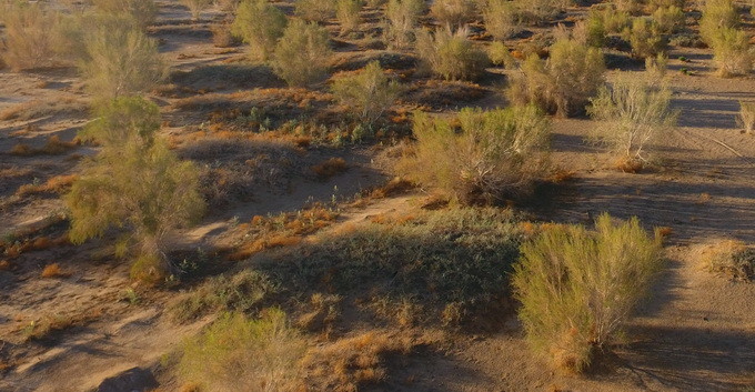 叶远杰,男,24岁,目前供职于深圳市某金融服务有限公司,于9月10日到达