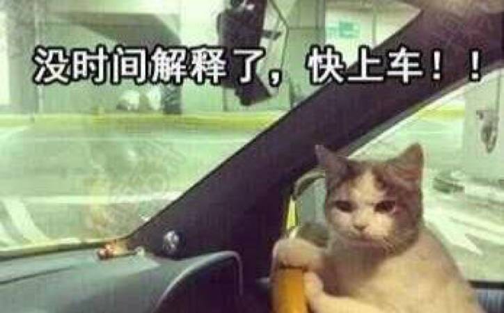 买这些SUV不仅显年轻 女票一定也会夸你品味