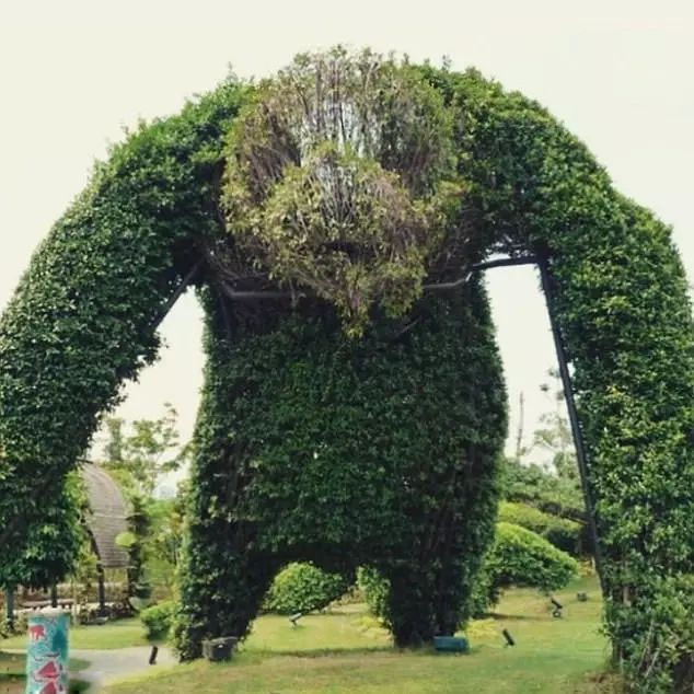 创意无处不在,城市绿化应该多点这样的创意.