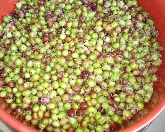 乡下这种果子能让你酸到掉牙齿,80后很多人当饭吃!