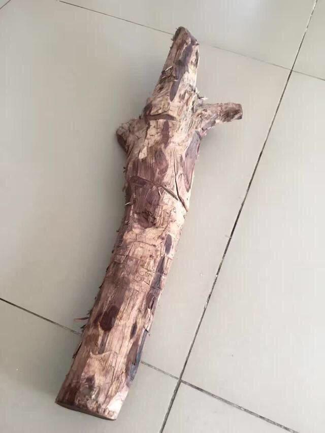 城管苏大哥收来一根木头 一刀切开 前言不搭后语