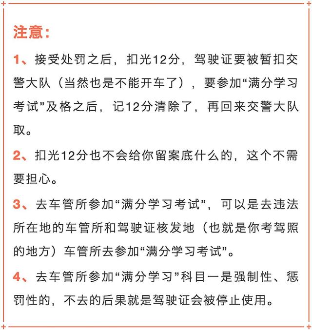 驾照扣光12分怎么办？别慌！按照这几步可拿回12分