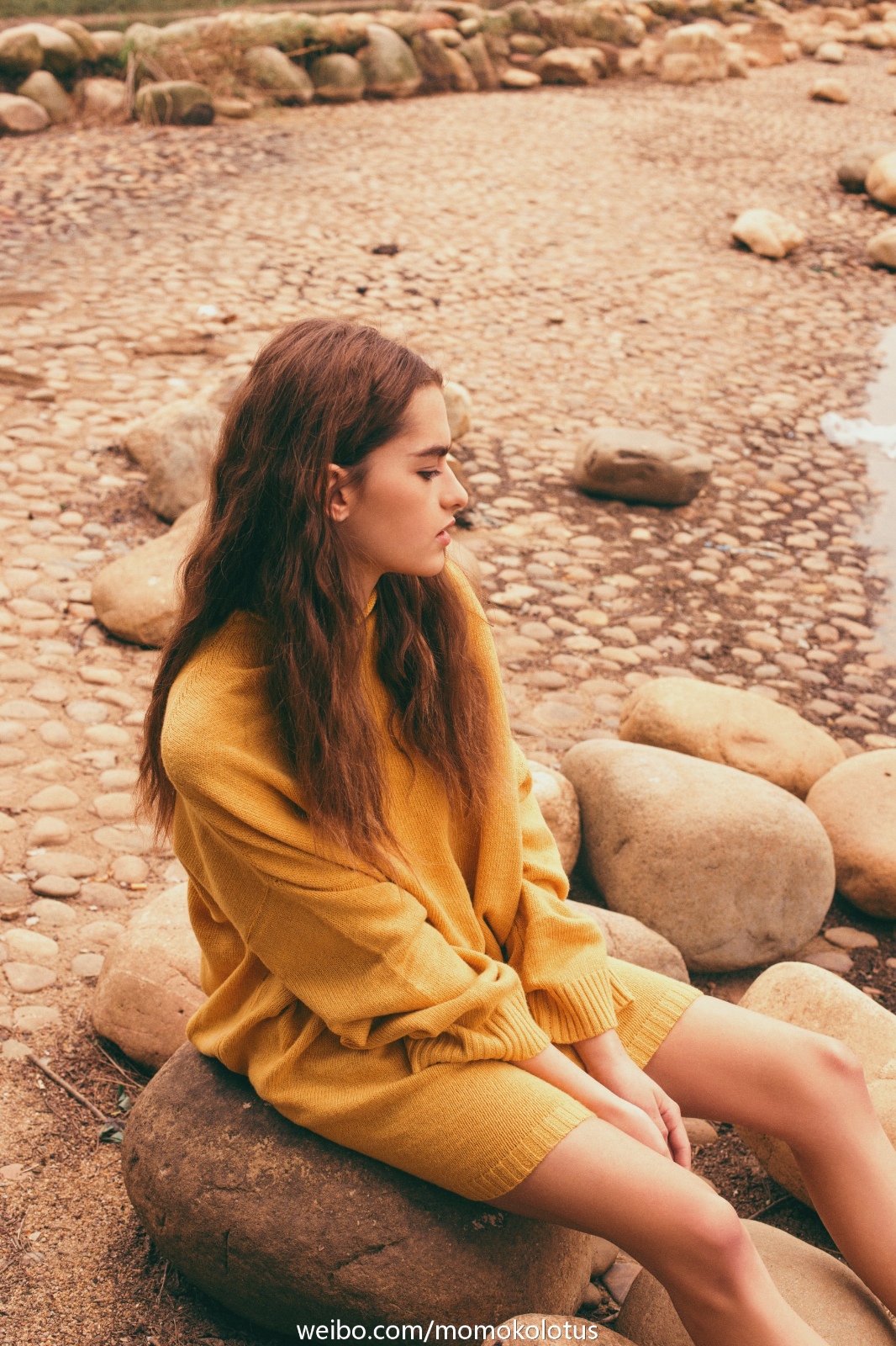 the stones seeks her crowd in the earth.|水果_新浪新闻