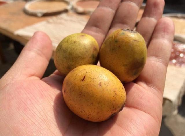 在农村我们还不队酸郎果来做酸枣糕,用酸郎果做的酸枣糕吃着qq弹弹