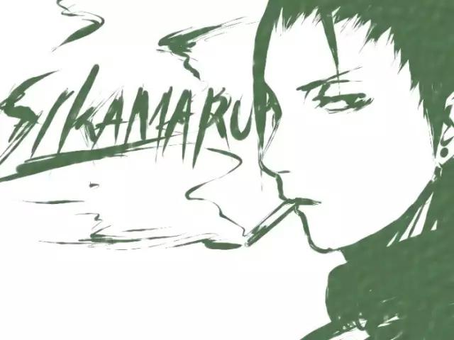 火影忍者：奈良鹿丸の生日贺文|奈良|生日|火影忍者_新浪新闻
