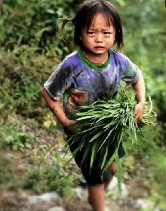 在农村的山上有个小女孩,小小年纪就独自光着脚丫在割草,小女孩看着很