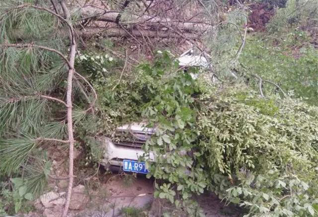 为何哈弗销量这么高？看完安全性能就知道了！