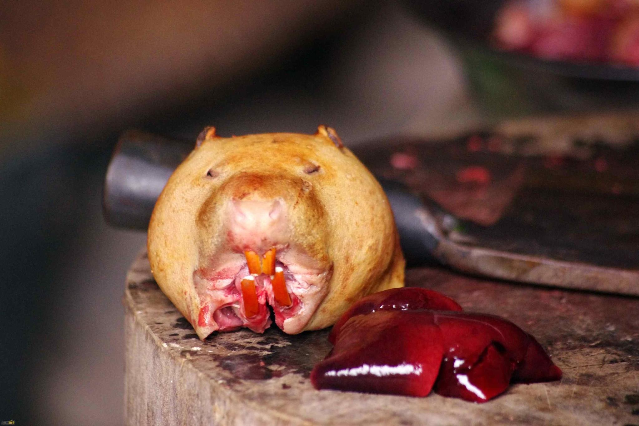 农村深山里的野味,这道菜一般人不敢吃,你吃过吗?