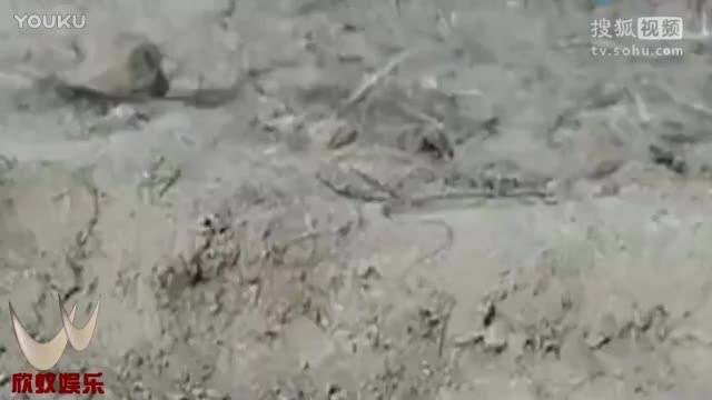 你是这样的四川 四川话骂人搞笑视频,一周至少