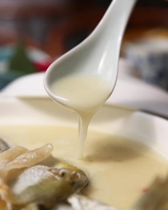 【养颜白汁河豚】精华就在于这奶白色的浓汤,汤底用了很多条河豚鱼骨