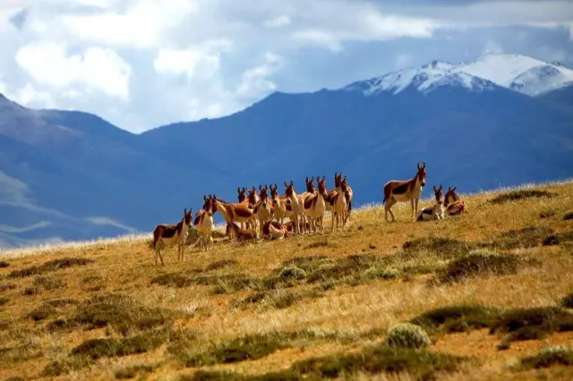 中国有几百款SUV，进去这里能开出来的据说不到3%！