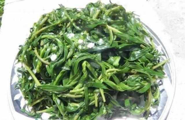 南方人受不了的野菜, 美誉:新疆芥末, 吃后分外提神