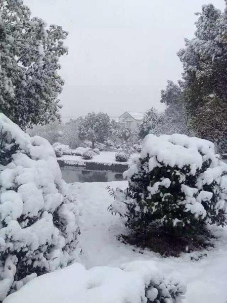 胎梦准吗?那些预示生男孩的胎梦有哪些?