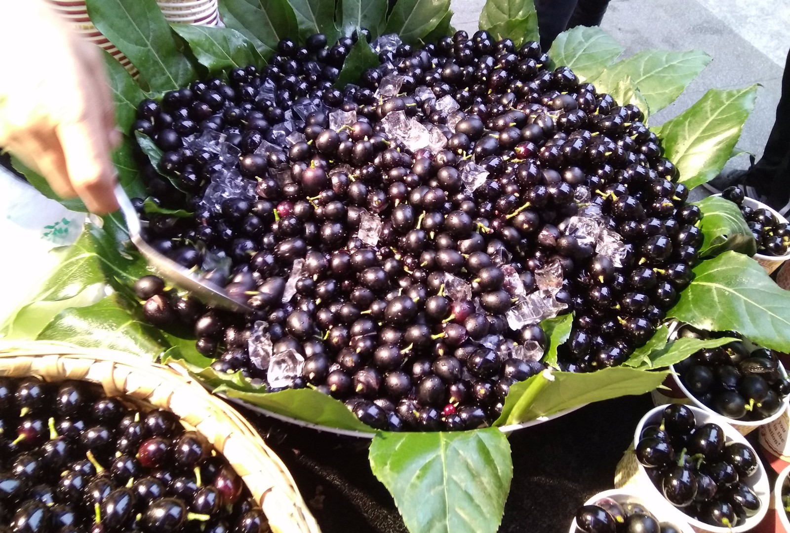 葡萄当"乌梅"卖 繁华地商贩日赚万元