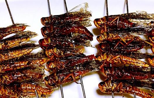 烧烤界的"五毒"